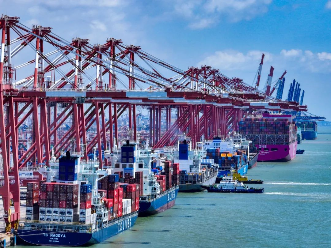 海运费反弹只是暂时征象，，，，，，海运价钱还会再跌