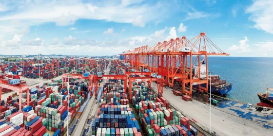 什么是海运口岸服务？？？？？？？？