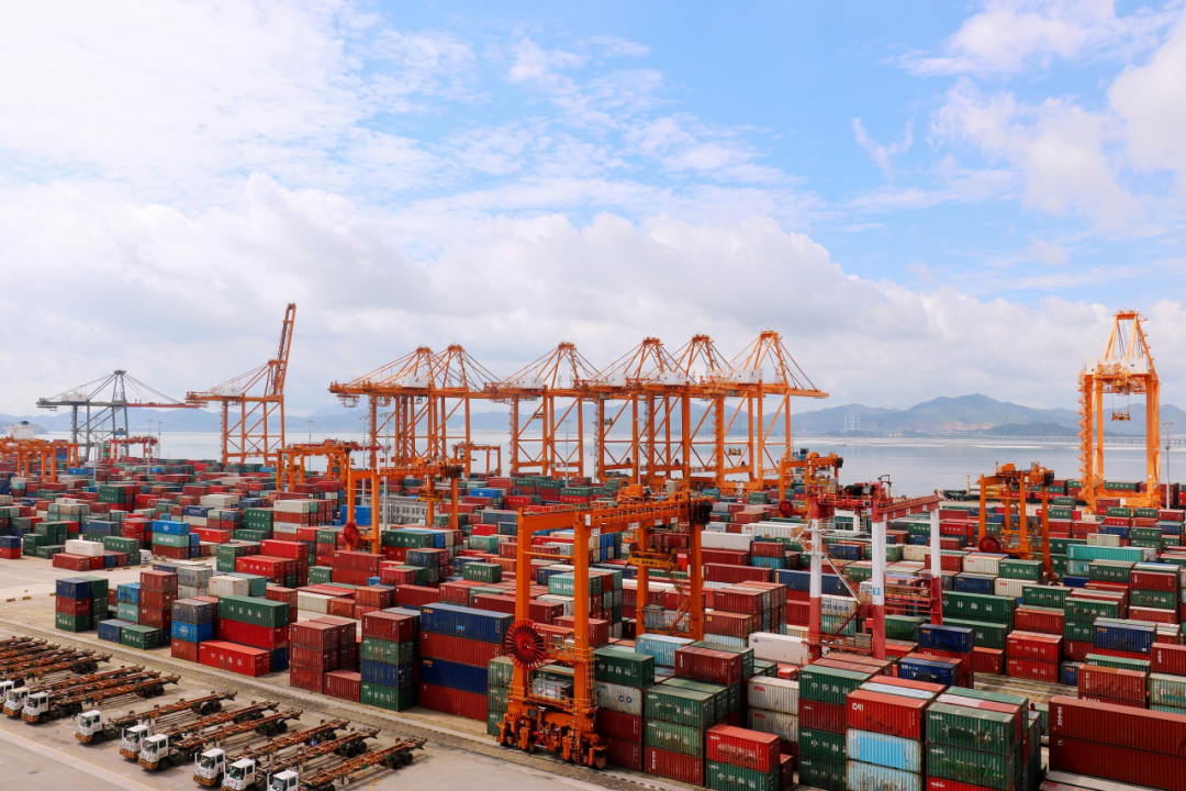 海内海运免柜期一样平常有几天，，，，，海运滞箱费是什么？？？？？？