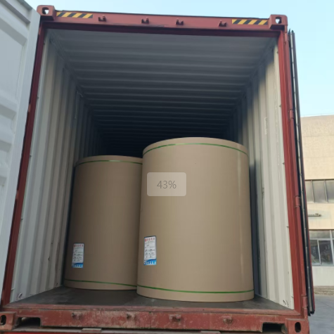 原木卷纸、纸张可以走集装箱海运吗，，，，，，，需要注重什么？？？？？？