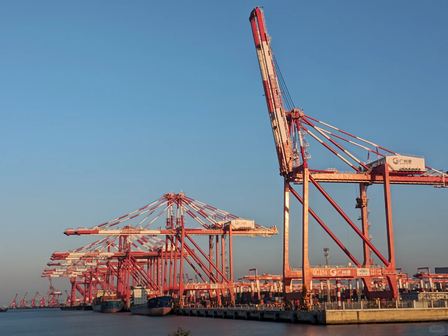 怎样明确海运中的“甩柜”？？？？？？